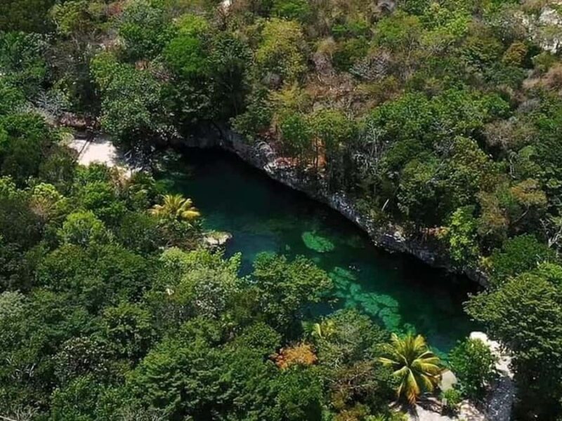Riviera Maya: Full Day Tour to 5 Magical Cenotes - Sacred Cenote and Mayan Temple Exploration