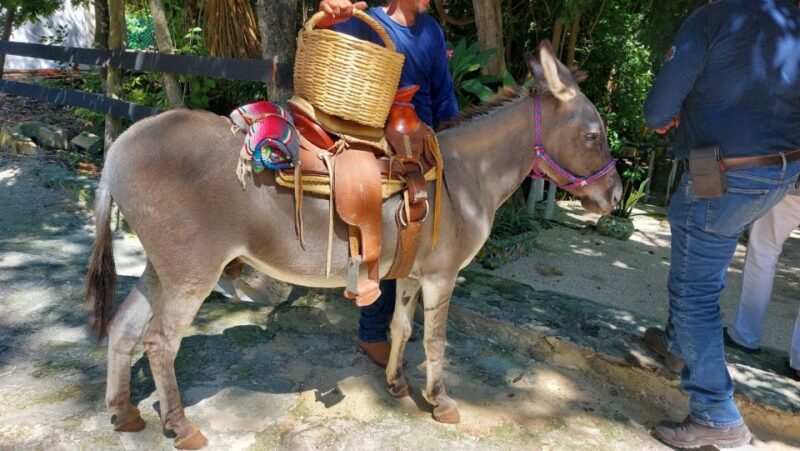Riviera Maya: Horseback Riding at Rancho Bonanza - Key Points