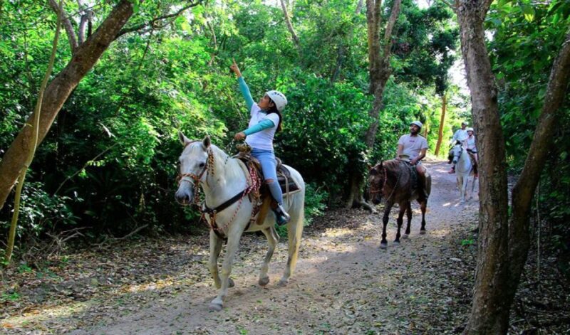 Riviera Maya: Horseback Riding at Rancho Bonanza - Animal Welfare and Support for Rescued Horses