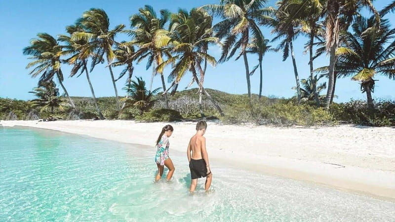 Riviera Maya: Isla Contoy and Isla Mujeres Full-Day Tour - Key Points