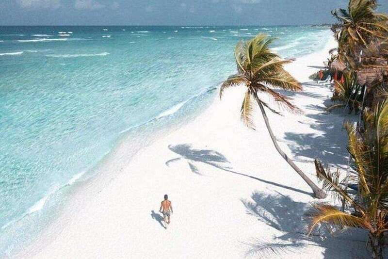 Riviera Maya: Isla Contoy and Isla Mujeres Full-Day Tour - The Buffet Lunch and Open Bar Experience