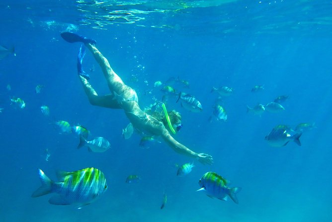 Riviera Maya Luxury Snorkeling Cruise with Lunch and Drinks - Water Activities: Snorkeling, Paddleboarding, and Water Mats