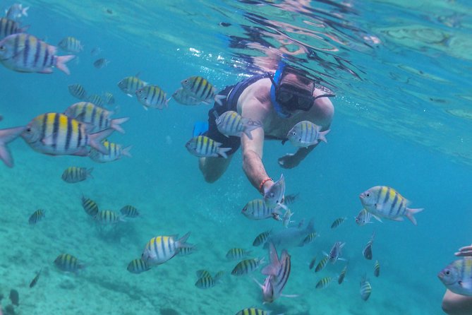 Riviera Maya Luxury Snorkeling Cruise with Lunch and Drinks - Gourmet Lunch and Open Bar: A Culinary Highlight