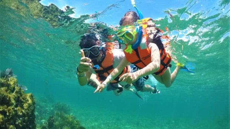 Riviera Maya: Private Adventure Camp with Activities - Customizable Outdoor Activities for Every Interest