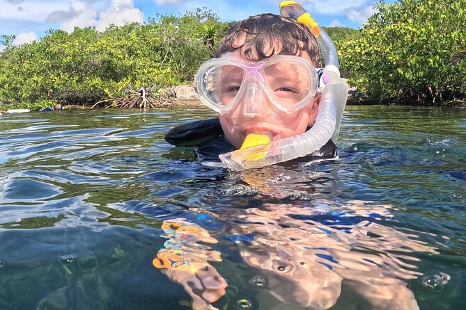 Riviera Maya Private Snorkeling Tour Adventure - Swimming and Snorkeling at the Mayan Fish Sanctuary