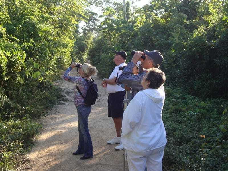 Riviera Maya: Puerto Morelos 4-Hour Bird Watching Tour - The Bird Species You Can Expect to See