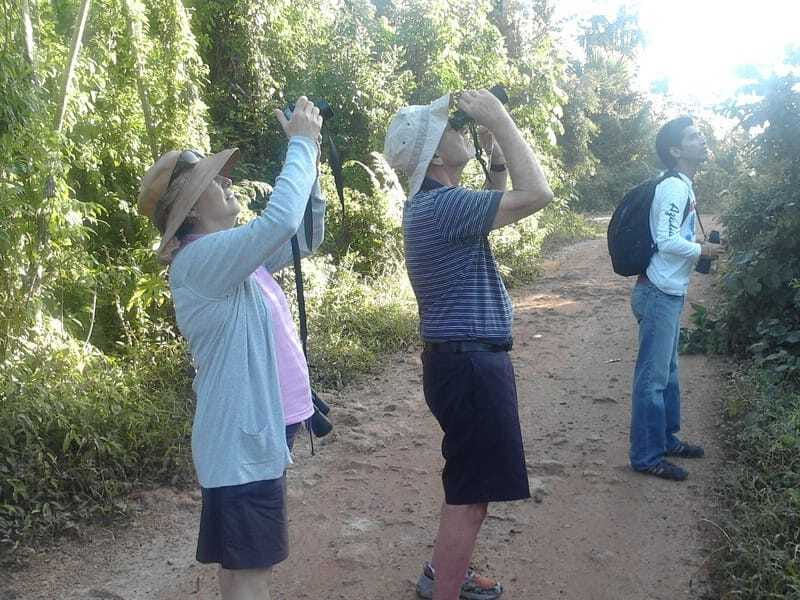 Riviera Maya: Puerto Morelos 4-Hour Bird Watching Tour - Sustainability and Support for Local Projects