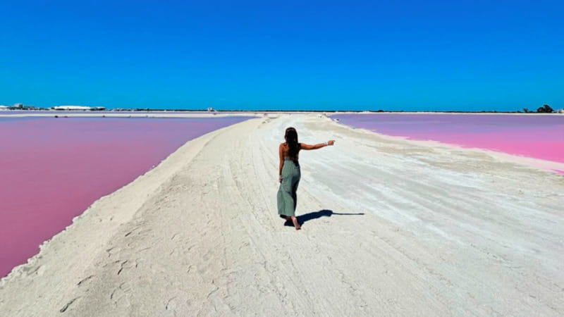Riviera Maya: Rio Lagartos & Las Coloradas Day Trip w/Lunch - Explore the Natural Wonders of Rio Lagartos and Las Coloradas