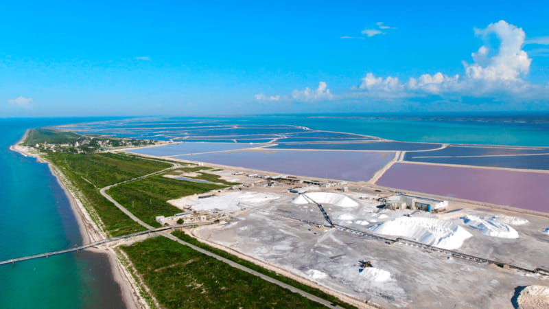 Riviera Maya: Rio Lagartos & Las Coloradas Day Trip w/Lunch - The Journey Back and Overall Pacing
