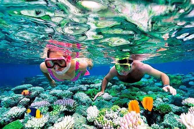 Riviera Maya Snorkeling - Key Points