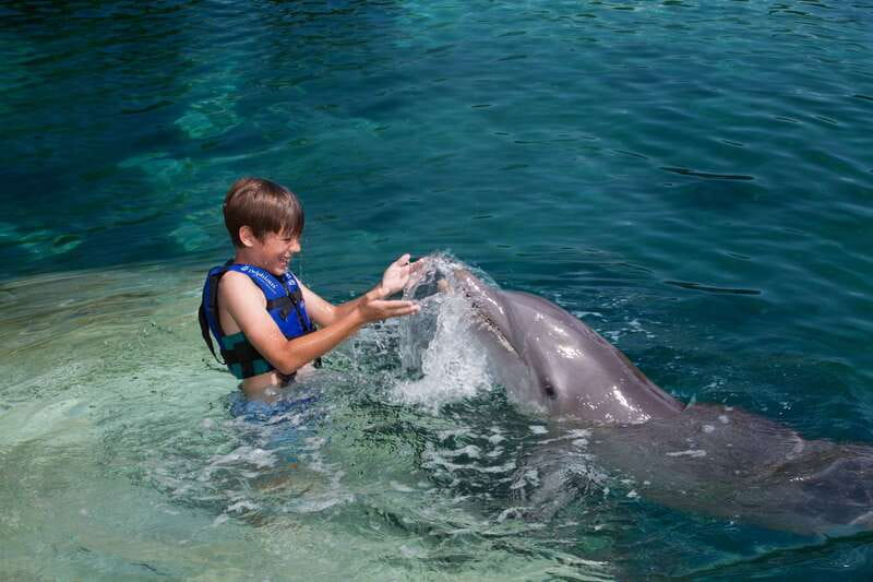 Riviera Maya: Swimming Experience with Dolphins - Riviera Maya: Swimming Experience with Dolphins