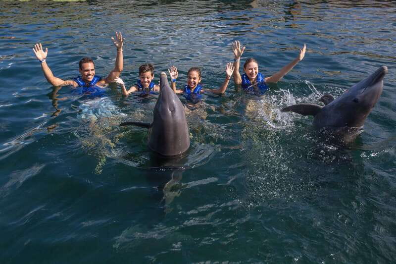 Riviera Maya: Swimming Experience with Dolphins - The Experience: Play, Learn, and Observe