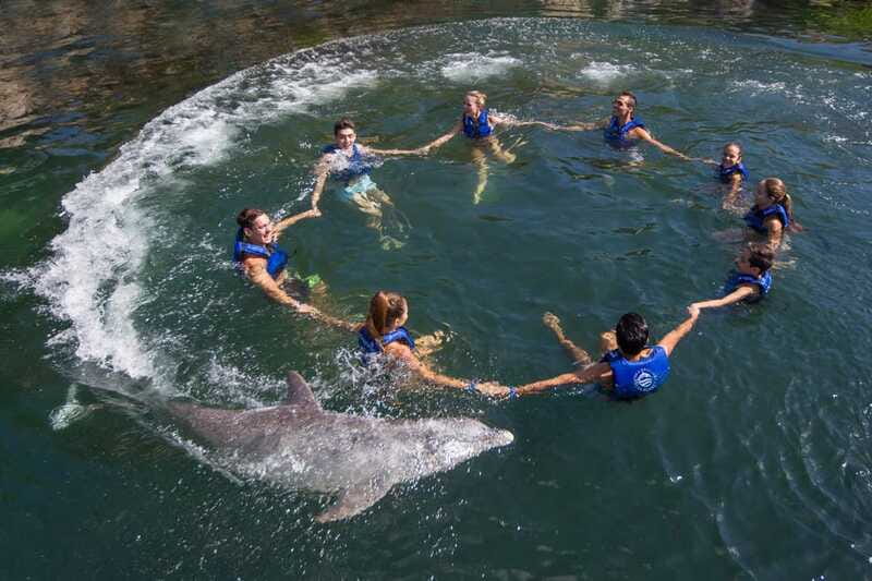 Riviera Maya: Swimming Experience with Dolphins - The Limitations: What Is Not Included