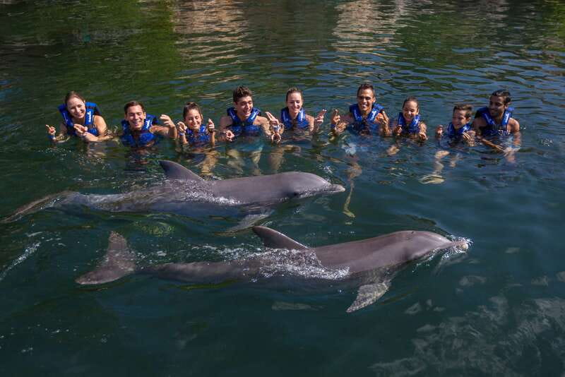 Riviera Maya: Swimming Experience with Dolphins - Safety and Practical Tips