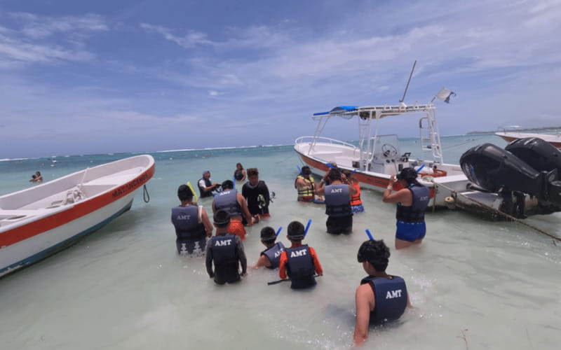 Riviera Maya: Tulum Ruins Tour, Turtle Swimming, Cenotes, and Lunch. - Snorkeling with Sea Turtles at Akumal