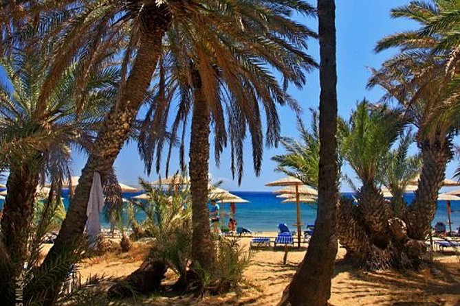 RIVIERA - Vai Palm Beach, Toplou Monastery - Explore the Luxurious RIVIERA Tour from Agios Nikolaos