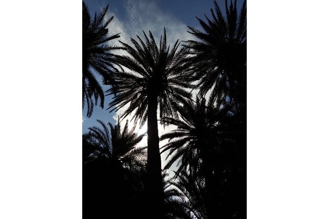 RIVIERA - Vai Palm Beach, Toplou Monastery - Tasting Crete’s Finest Wines and Olive Oils