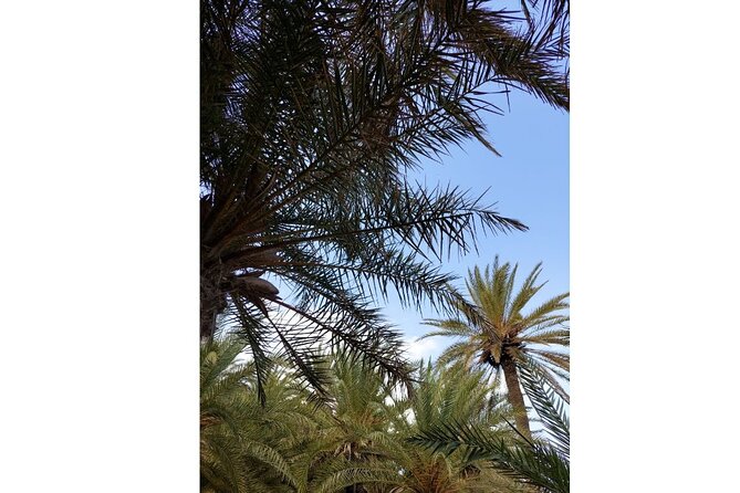 RIVIERA - Vai Palm Beach, Toplou Monastery - Leisure Time at Vai Beach
