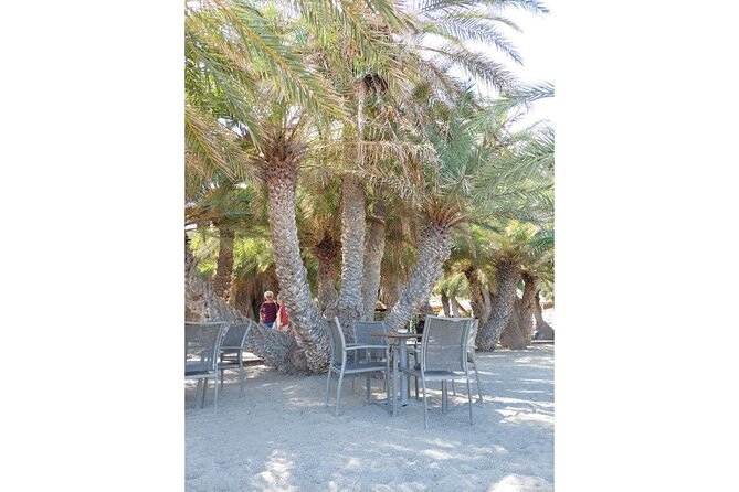 RIVIERA - Vai Palm Beach, Toplou Monastery - Sunset Stop at Platanos with a View