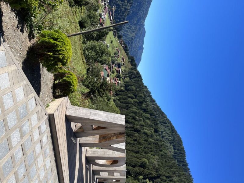 Rize: Ayder Highland Village & Tea Tasting Private Day Trip - Discover Ayder Highland Village and Its Thermal Springs