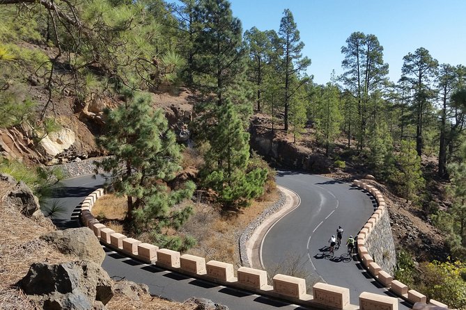 Road Cycling Tenerife - Teide Route - The Challenge and Physical Demands