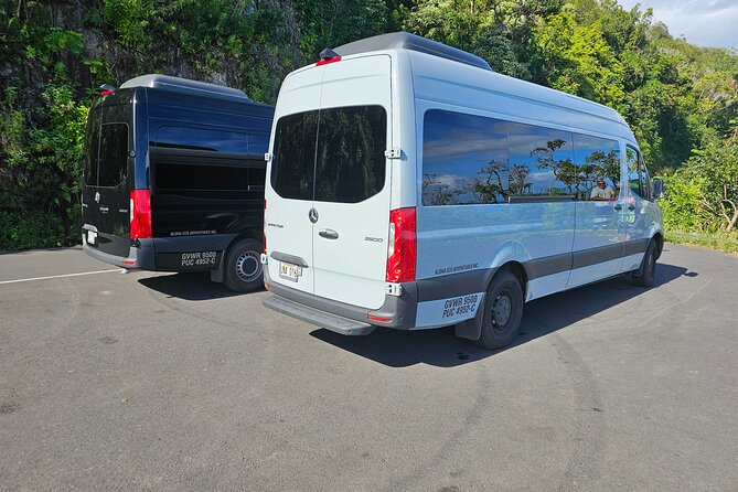 Road to Hana Adventure with Farm to Table Lunch in Town of Hana - Why This Tour Stands Out