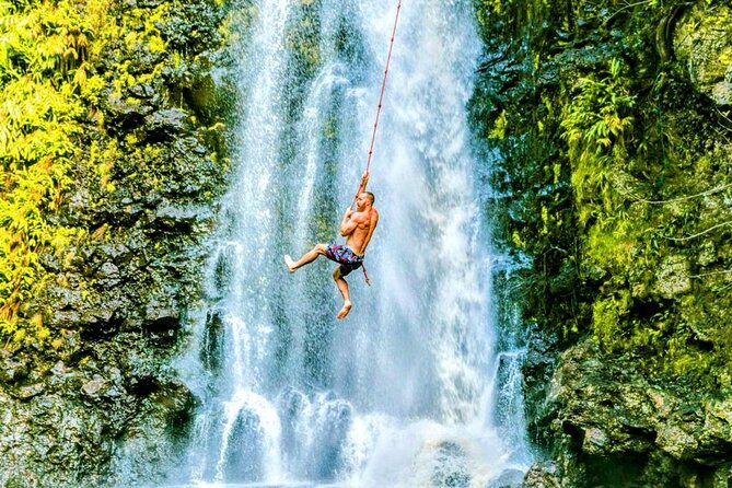 Road To Hana Black Sand Beach Waterfalls & Turtles Tour - Wailua Valley State Wayside Park for Scenic Views