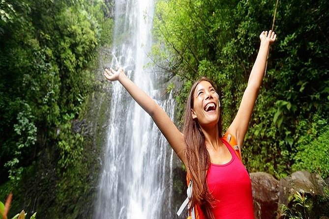 Road to Hana Deluxe Rainforest and Waterfall Experience from Maui - Maui’s Hana Highway: Stress-Free Exploration