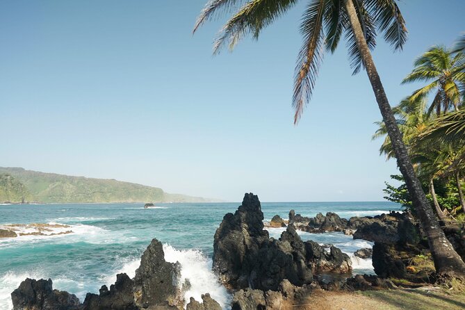 Road to Hana Deluxe Rainforest & Waterfall Experience from Oahu - Panoramic Views at Kaumahina State Wayside Park