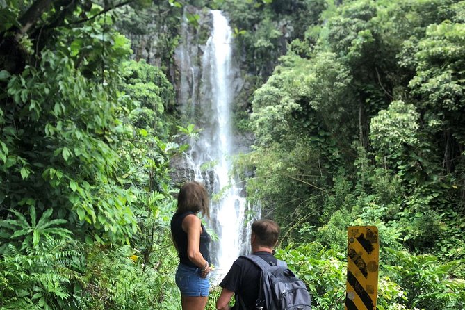 Road to Hana: Full-Day Scenic Drive with Blacksand & Waterfalls - Iconic Waterfalls and Black Sand Beaches