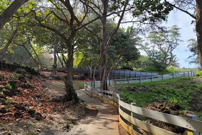 Road to Hana Private Full Day Tour - Exploring Hana Town and Lunch Options