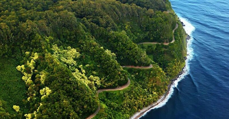 Road to Hana: Professional Guide, Food, Swimming, Waterfalls - Discover the Road to Hana with a Professional Guide and Unmatched Comfort