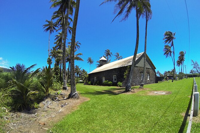 Road to Hana Rainforest, Black Sand Beach, Waterfalls & Lunch - Guides and Customer Experience