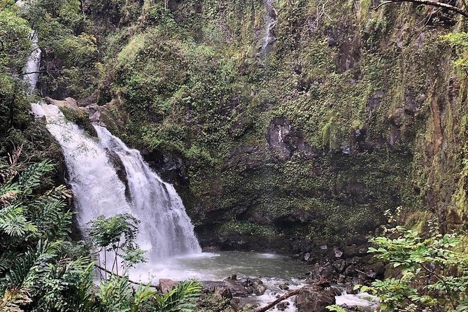 Road to Hana Tour - Best of Maui - The Private Tour Experience with Epic Maui Hikes