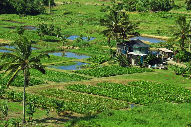 Road to Hana Tour with Lunch and Pickup - Practicalities of the Tour: Logistics and Group Size