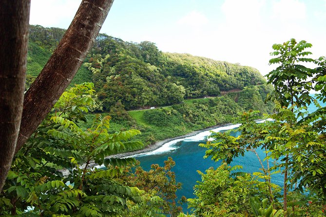 Road to Hana Tour with Lunch and Pickup - Guides and Their Impact on the Experience