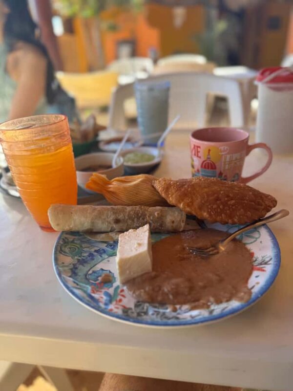 Road trip from La Paz to Todos Santos and Los Cabos. - Returning to La Paz: A Satisfying Full-Day Journey