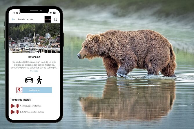 Road Trip through Alaska - Key Points