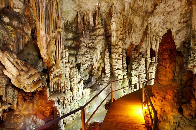 Road-trip to Lasithi: Vidiani, Krasi, Olive Mill Farm, Lasinthos - Explore Crete’s Authentic Landscape on a Full-Day Lasithi Road-Trip