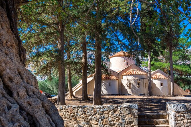 Road-trip to Lasithi: Vidiani, Krasi, Olive Mill Farm, Lasinthos - Key Points