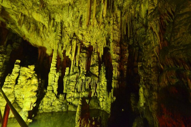 Road-trip to Lasithi: Vidiani, Krasi, Olive Mill Farm, Lasinthos - Discovering Krasi’s Springs and Oldest Tree