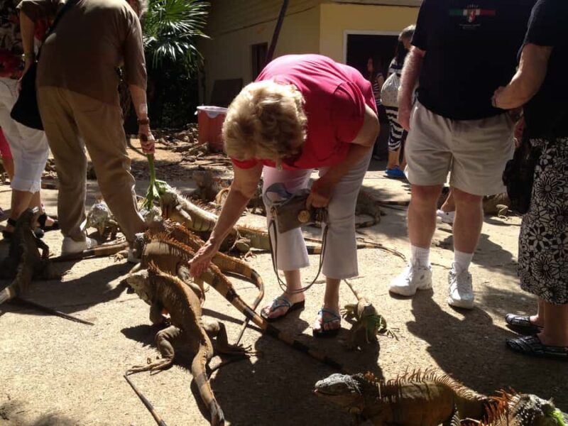 Roatán: Monkey and Sloth Sanctuary Tour - Key Points