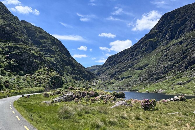 Robbies luxury travel - Discover the Comfort and Elegance of Robbies Luxury Travel in Dublin