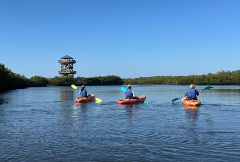 Robinson Preserve Mangrove Tour - The Observation Tower Experience