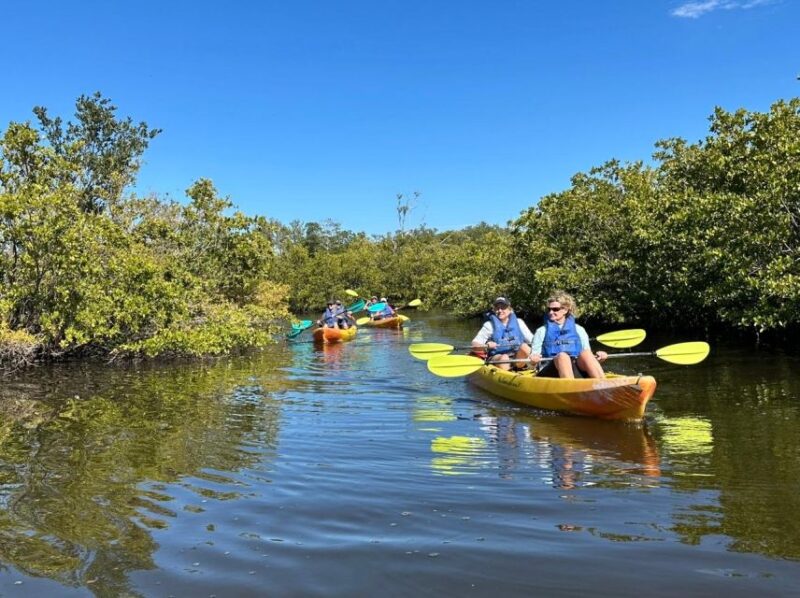 Robinson Preserve Mangrove Tour - Booking and Cancellation Policies