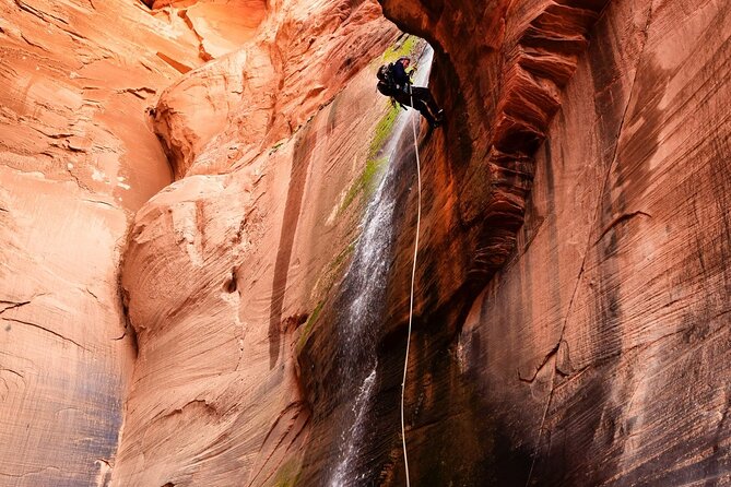 Rock and Roll Rappelling in Rock Canyon - Exciting Rock and Roll Rappelling in Zion’s Rock Canyon