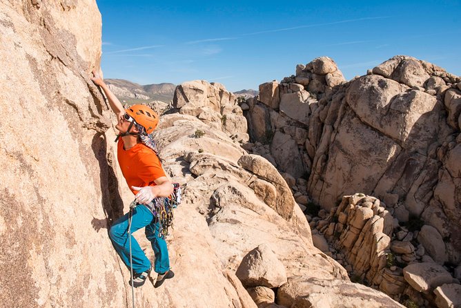 Rock Climbing Trips in Joshua Tree National Park (4 Hours) - The Joshua Tree Climbing Scene: Over 9,000 Routes to Explore