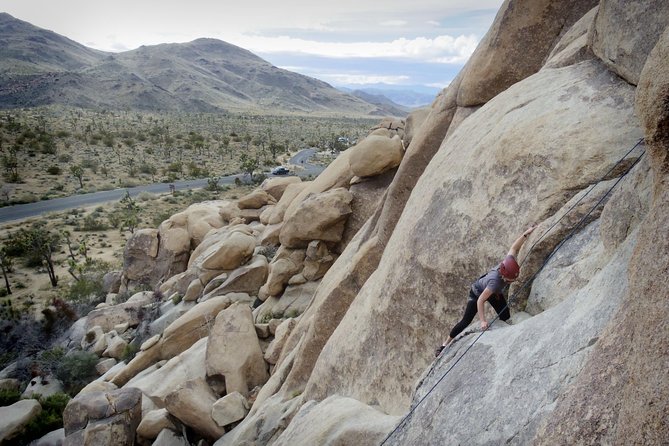 Rock Climbing Trips in Joshua Tree National Park (4 Hours) - Is This Tour Right for You?