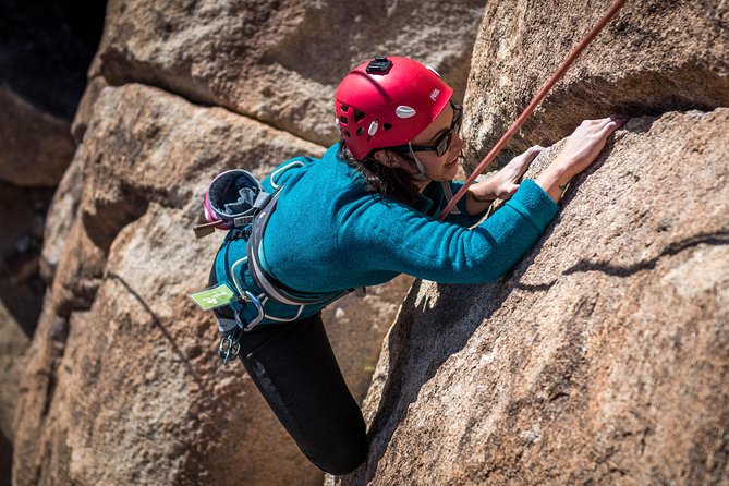Rock Climbing Trips in Joshua Tree National Park (6 Hours) - Logistics and Group Exclusivity
