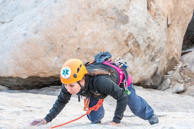 Rock Climbing Trips in Joshua Tree National Park (6 Hours) - Cost and Booking Insights